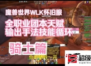 魔兽世界 wlk 惩戒骑输出手法介绍：单体输出技巧与团队协作策略