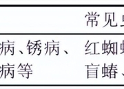 #文章首发挑战赛#樱桃常见病虫害有哪些？防治措施探讨