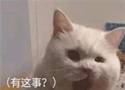 翻6年前说说看到的故事，冰女般的人助熊拍拍一路走来