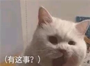 翻6年前说说看到的故事，冰女般的人助熊拍拍一路走来