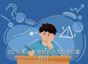 QQ仙灵宠物合成攻略：宠物五行及释丹持仓技巧大揭秘