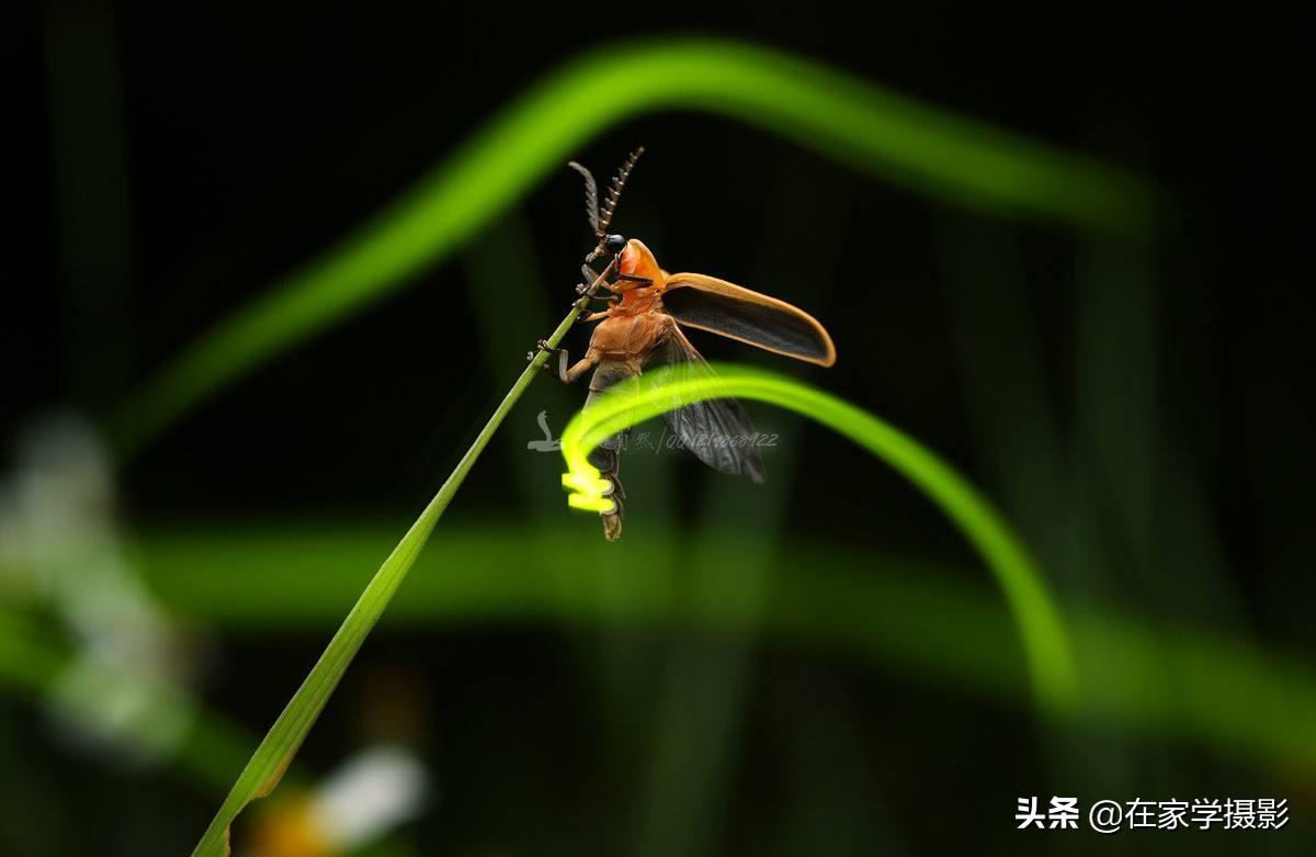 dnf暗淡的莹光剑图片_暗淡的莹光剑_暗淡荧光剑