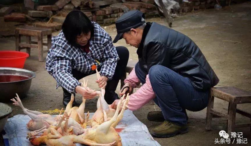 老婆在家杀鸡杀鸭_新媳妇杀鸡_小媳妇杀公鸡