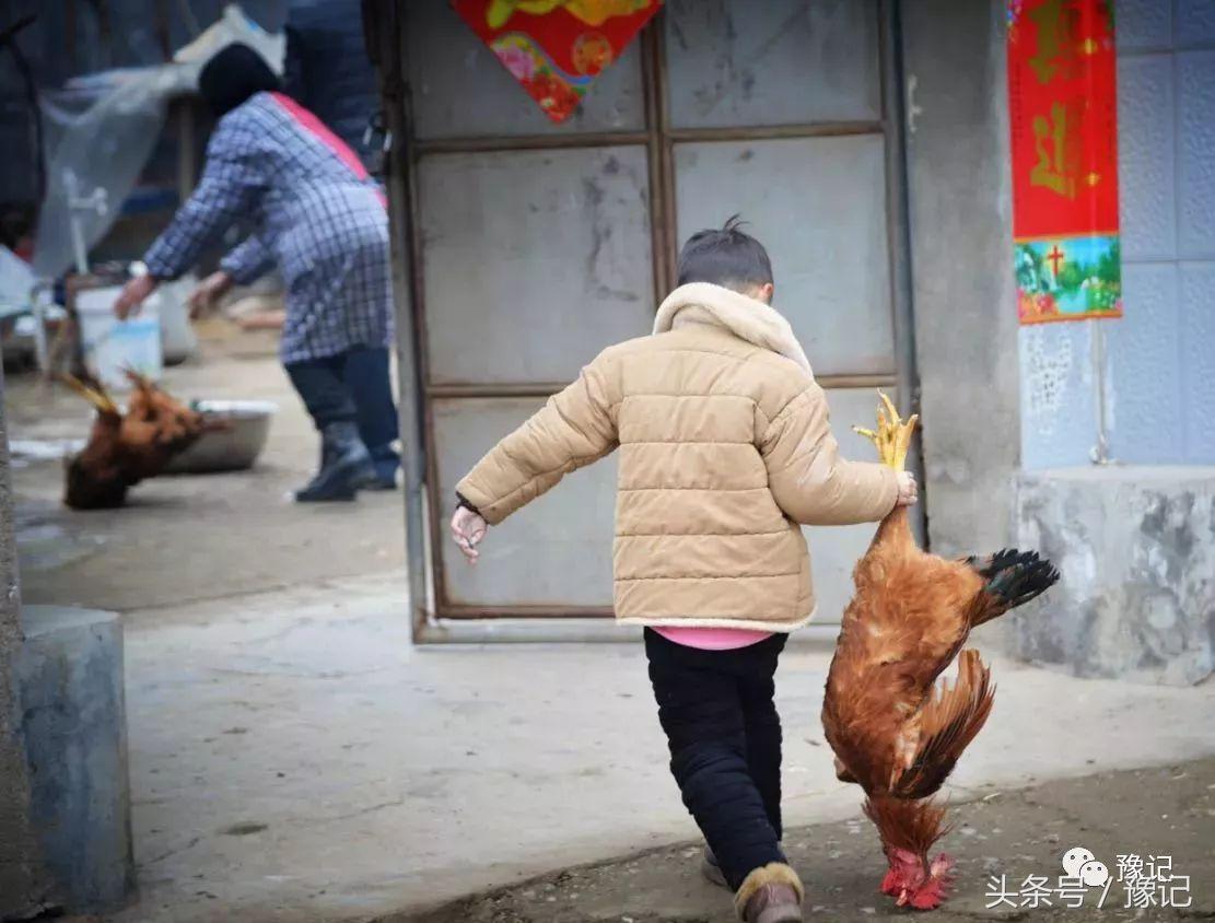 小媳妇杀公鸡_新媳妇杀鸡_老婆在家杀鸡杀鸭