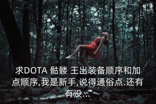 求DOTA 骷髅 王出装备顺序和加点顺序,我是新手,说得通俗点.还有有没...