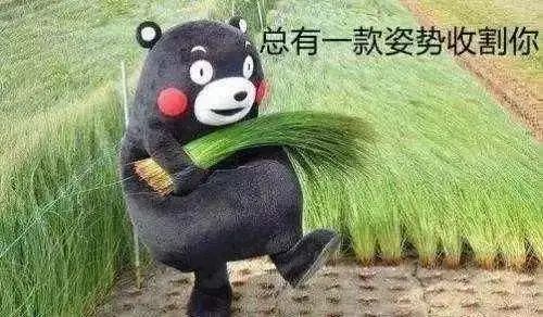 隐刀短剧_dota隐刀_隐刀DOTA