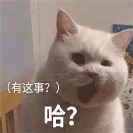 冰女和拍拍熊原图_冰女拍拍熊_拍拍熊饰品