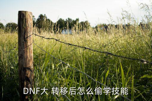 DNF大 转移后怎么偷学技能