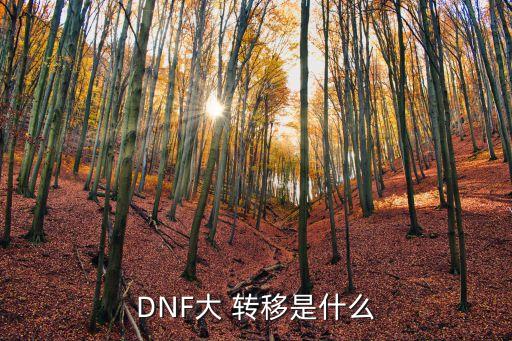 DNF大 转移是什么