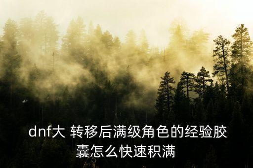 dnf大 转移后满级角色的经验胶囊怎么快速积满